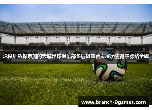 深度细致探索加的夫城足球俱乐部多层级联赛发展历史背景脉络全貌 深度细致探索加的夫城足球俱乐部多层级联赛发展历史背景脉络全貌