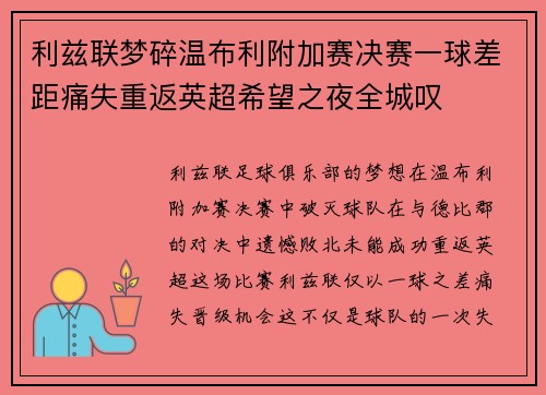 利兹联梦碎温布利附加赛决赛一球差距痛失重返英超希望之夜全城叹